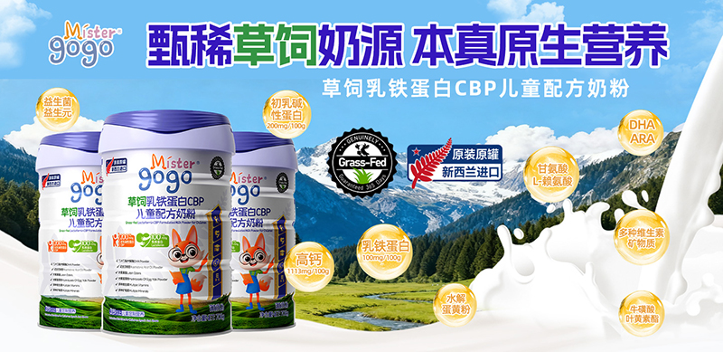 Mister gogoMڃ̷ͯ.jpg