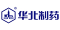 Aˎlogo