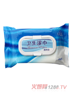 藝彩源衛(wèi)生濕巾22片