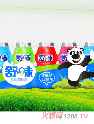 舒味小熊新版乳酸菌飲品排裝100ml