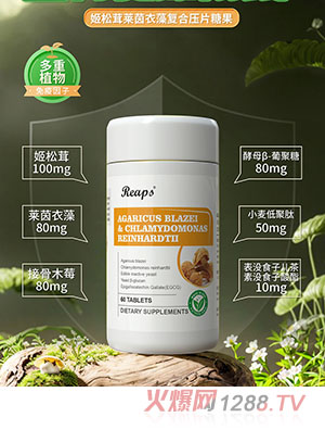 Reaps瑞普斯姬松茸萊茵衣藻復(fù)合壓片糖果